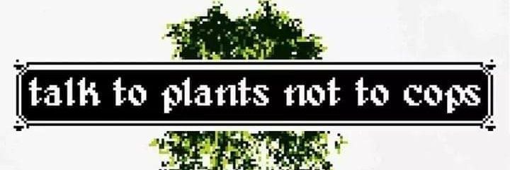 Anthonymorlacci's profile banner image
