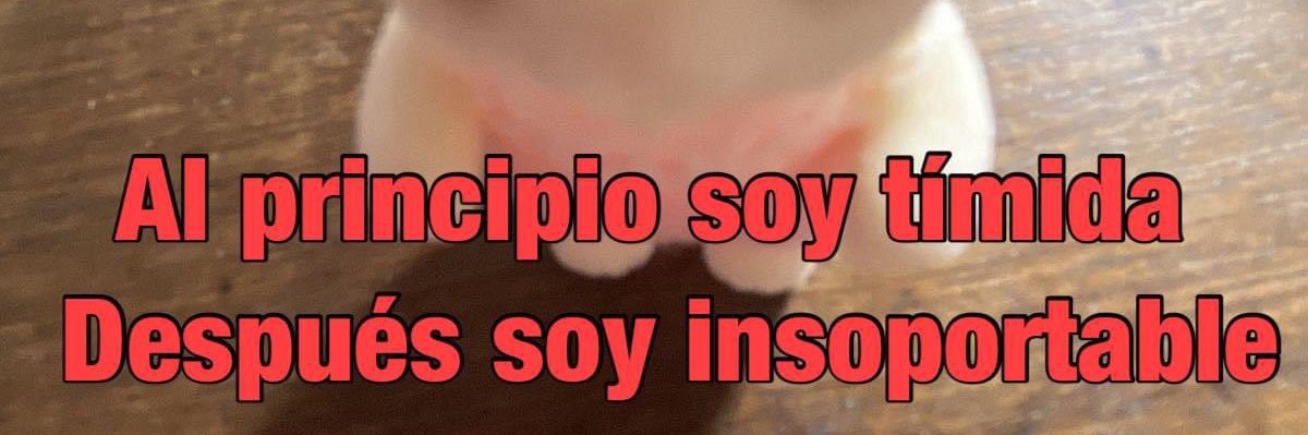 NASTYY_GAL's profile banner image