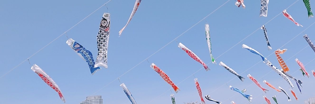 togamenChan's profile banner image