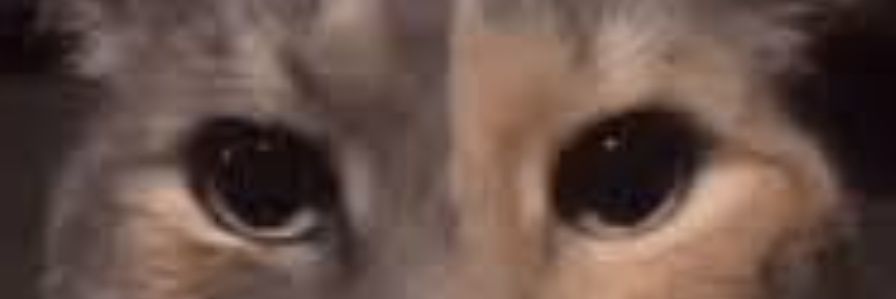 DelaJayde's profile banner image