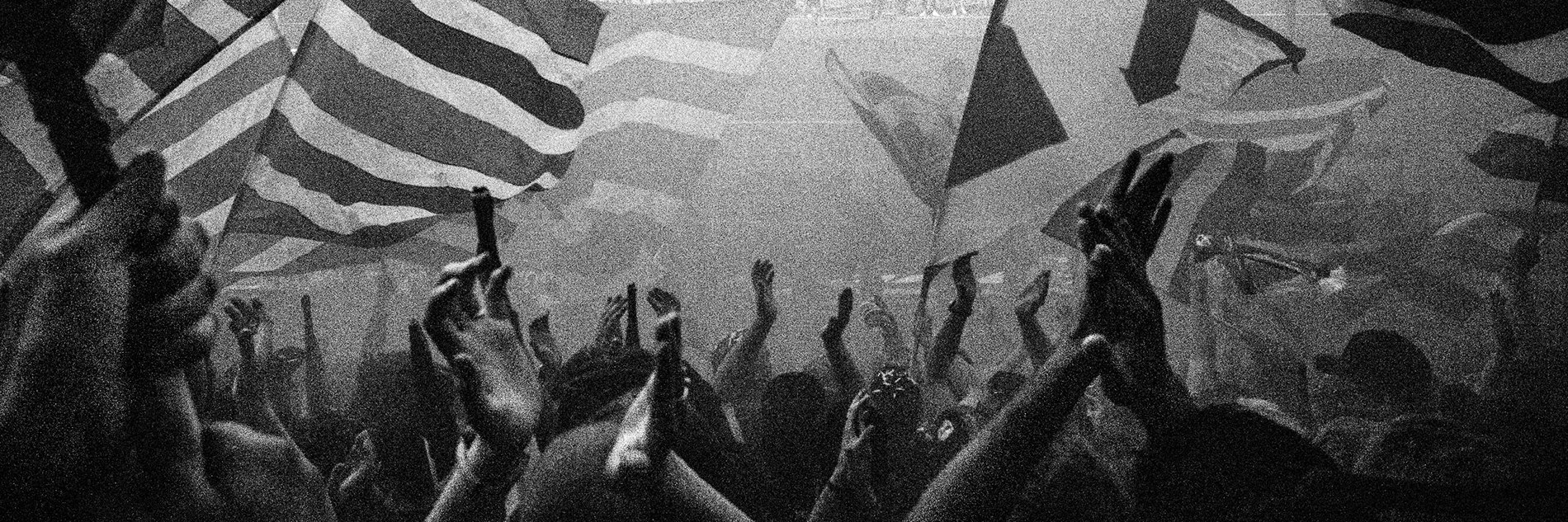 Sabine Scheller banner