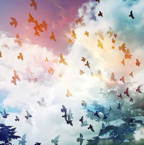 leandraanderso1's profile banner image