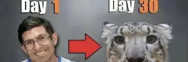 meowfterdark Profile Banner