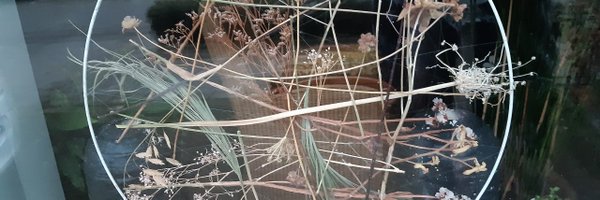 rianvanderaa Profile Banner