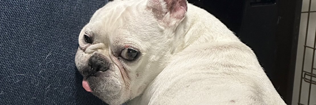 DRJU0121's profile banner image