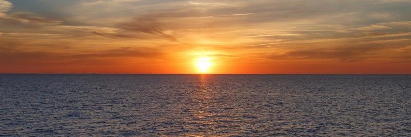 drunkmoon🐦‍⬛ banner