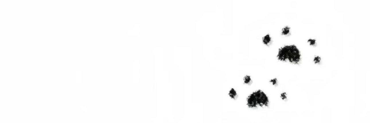 奶糖 banner
