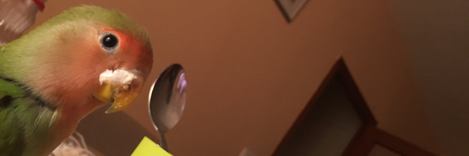 srtacat_'s profile banner image