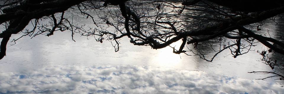 CaroLeNeures's profile banner image