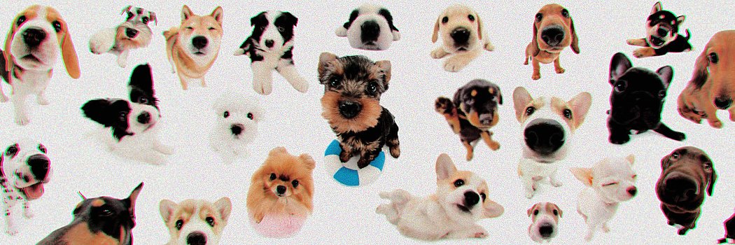 nannnnda's banner