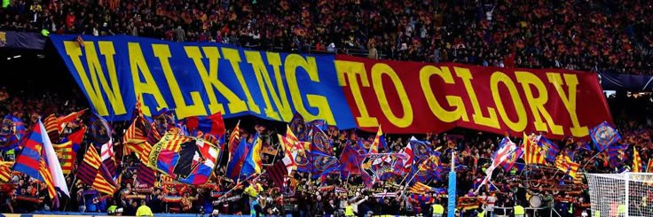 Bᴀʀᴄ̧ᴀVᴇʀsᴇ's banner