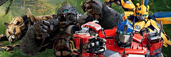 TF_alerts Profile Banner