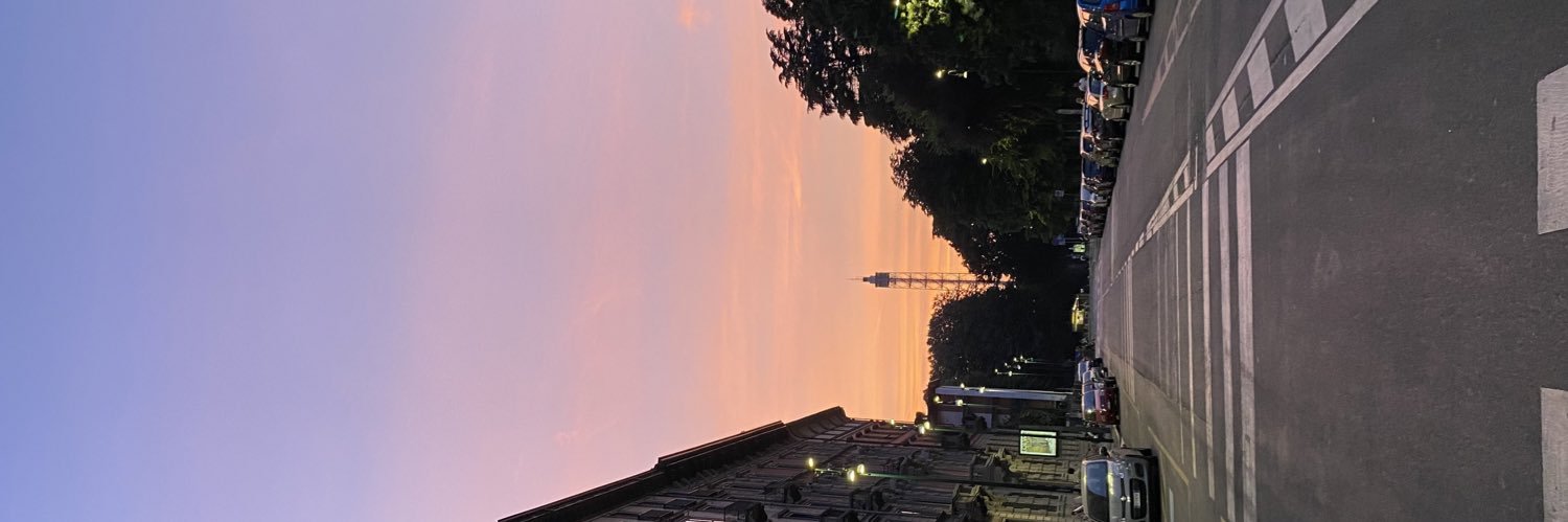 Regina Martínez banner