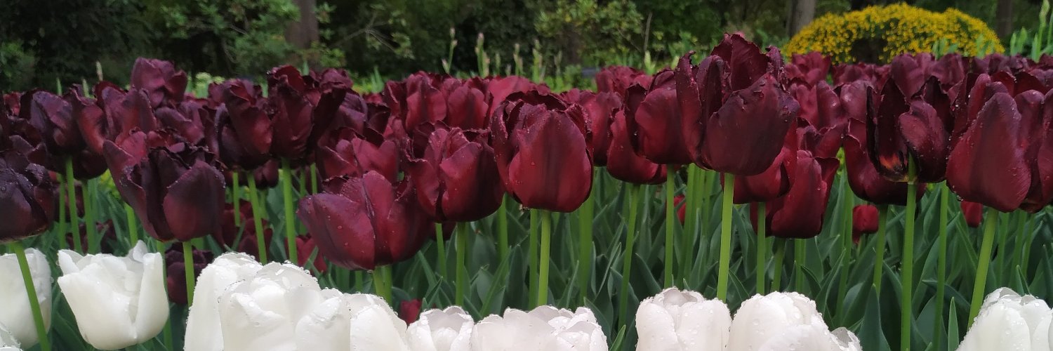 Mabarrie22's profile banner image