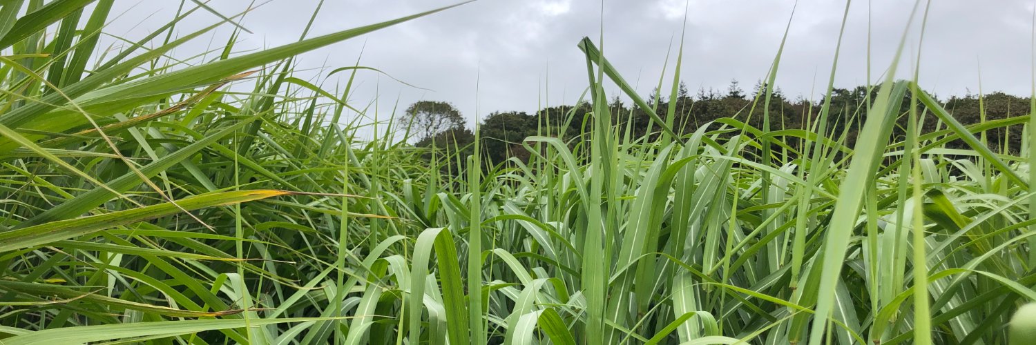 Biomass Connect banner