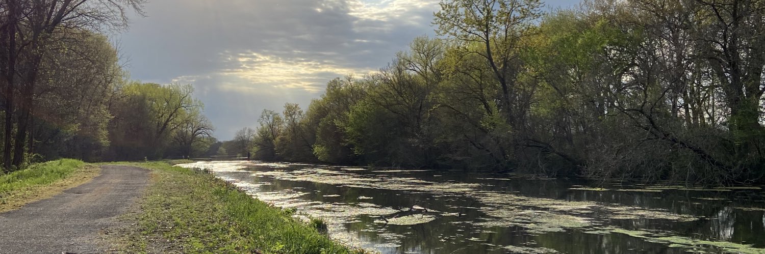 shea_keag's profile banner image