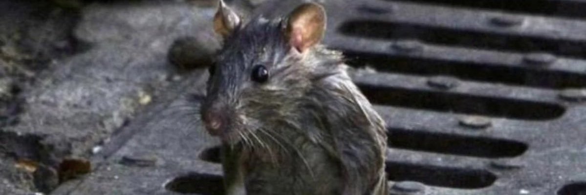 PuntTrobadaBCN's profile banner image
