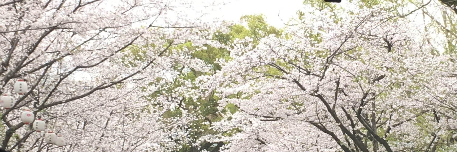 chiiiikob's profile banner image