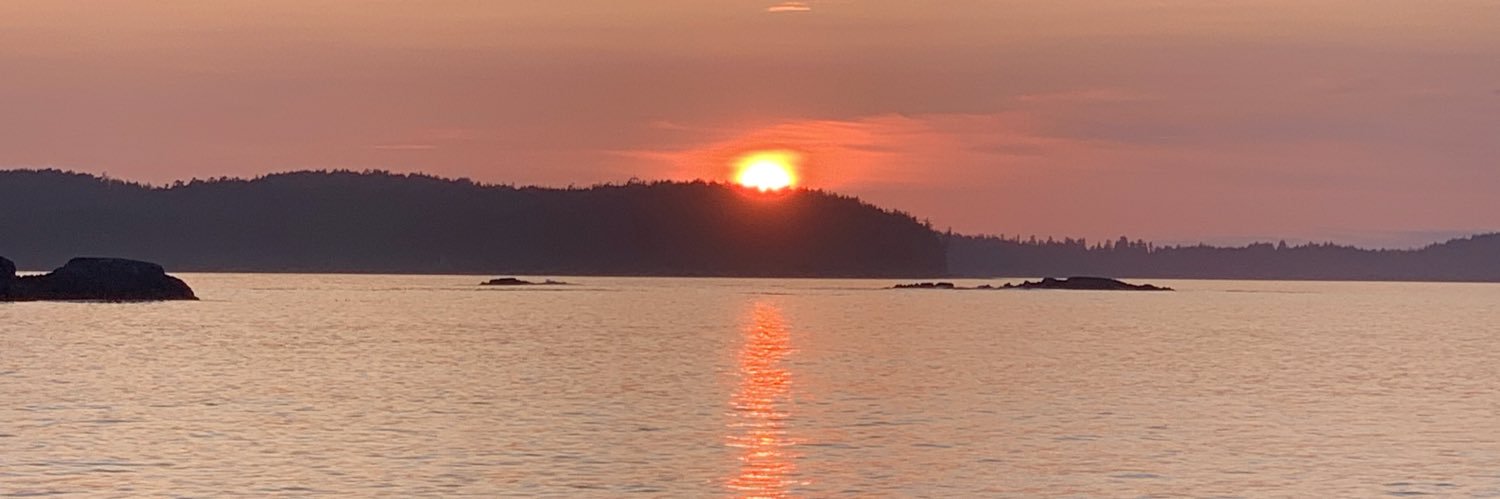 mindse's profile banner image