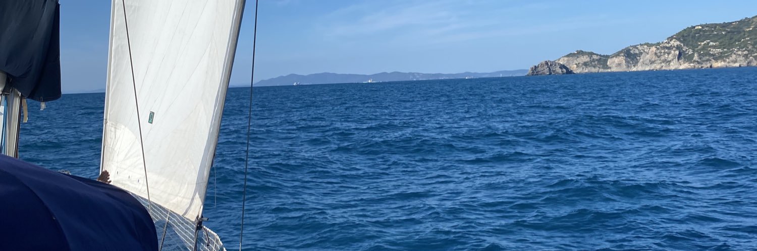 Viola D'Ambrosio banner