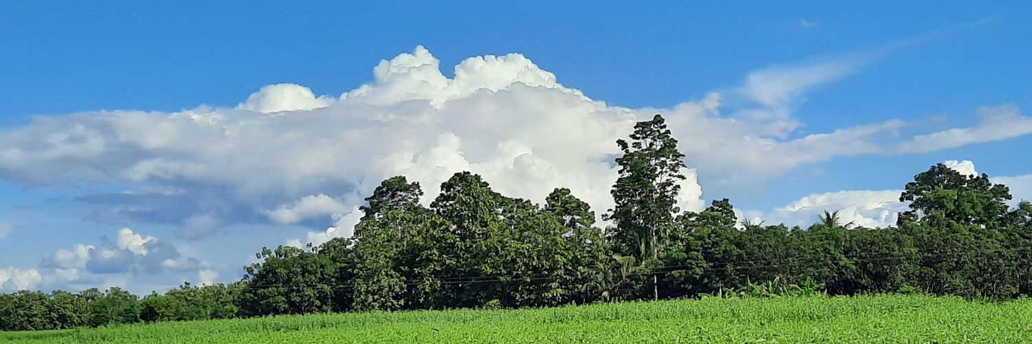 biswasa22's profile banner image
