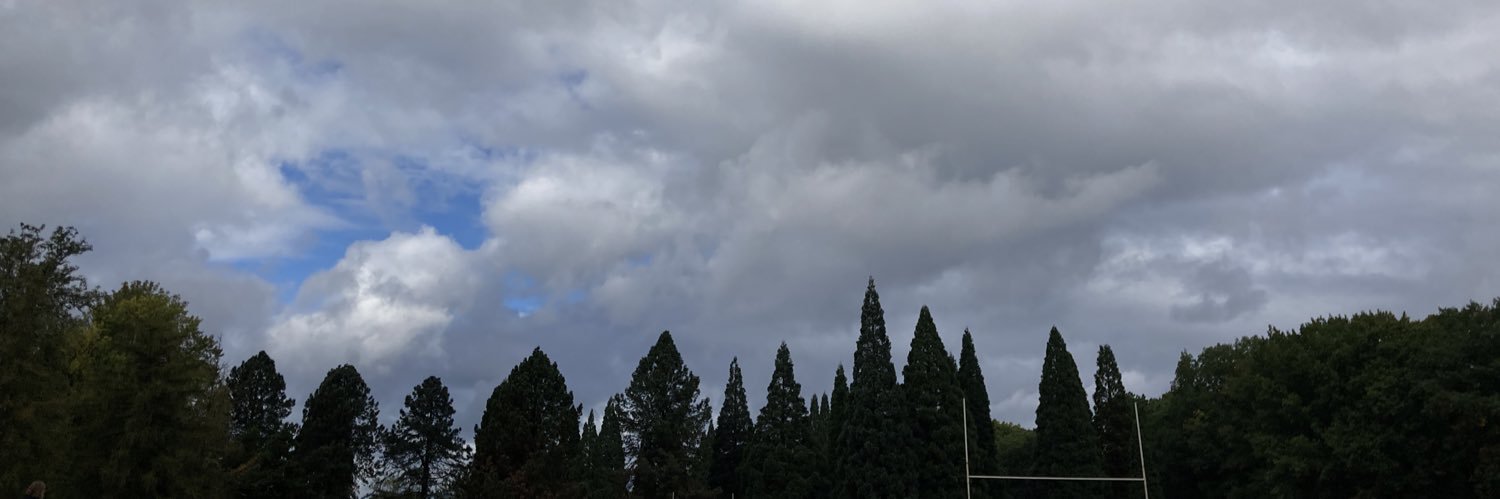 Julie Sabatier banner