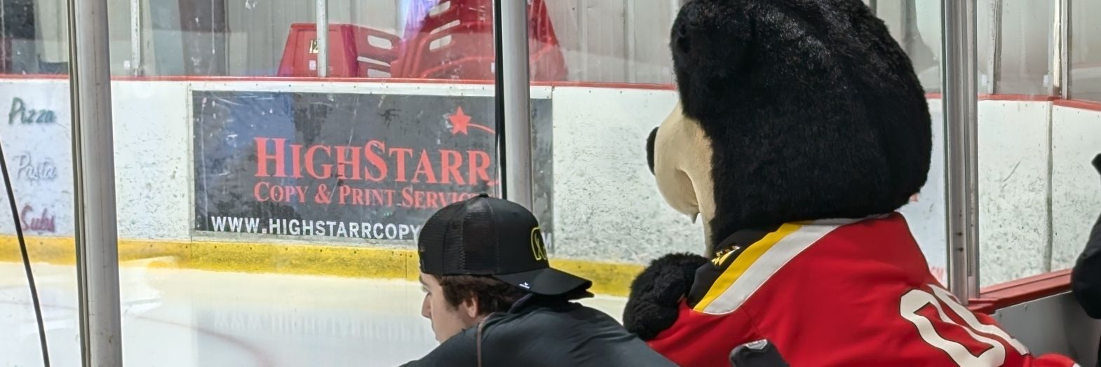 Defending The Den banner