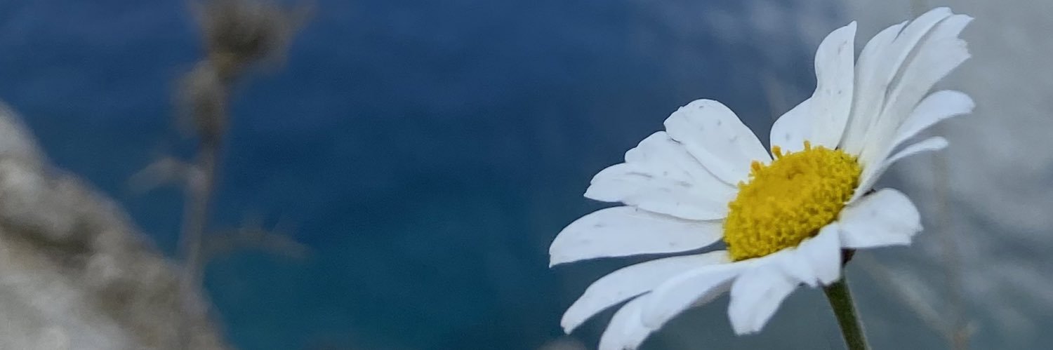 ayse_aysa_'s profile banner image