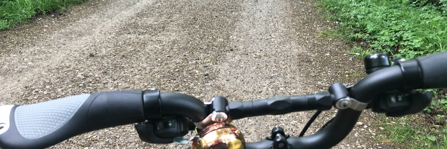 Lynne73's profile banner image
