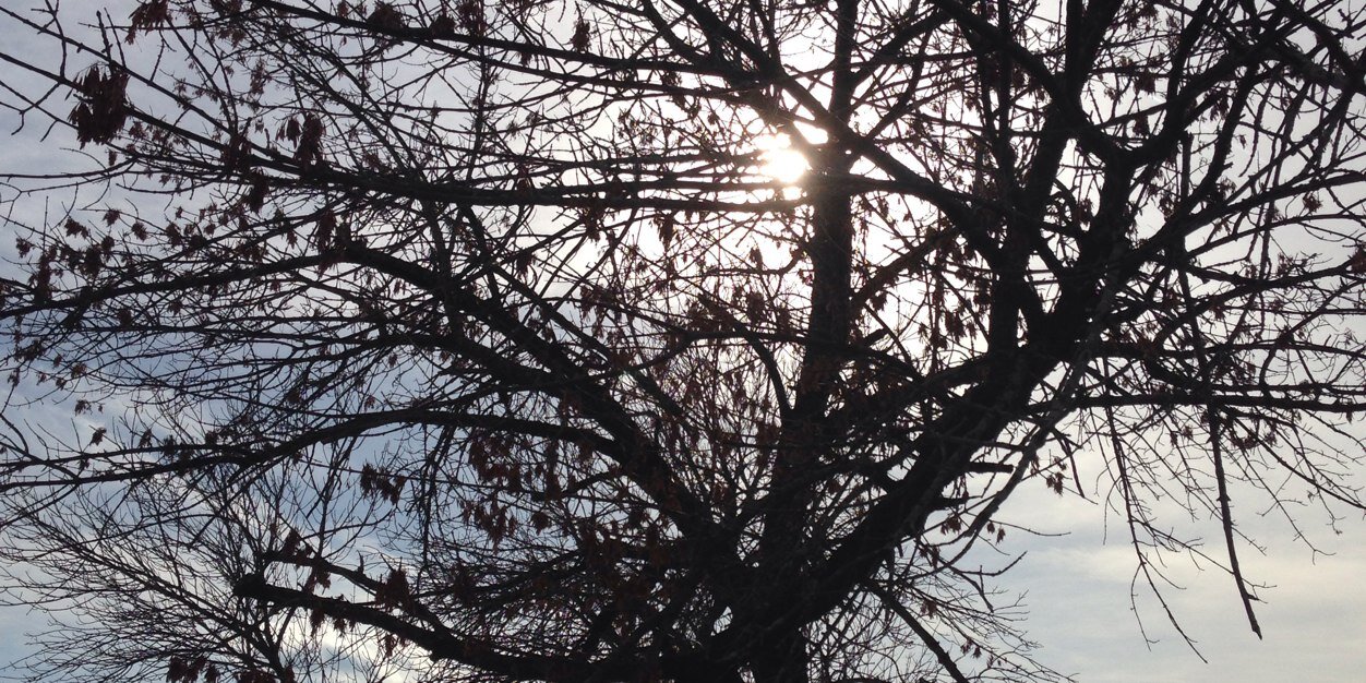 Rachna Khanna banner