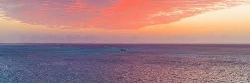 mijailflota's profile banner image