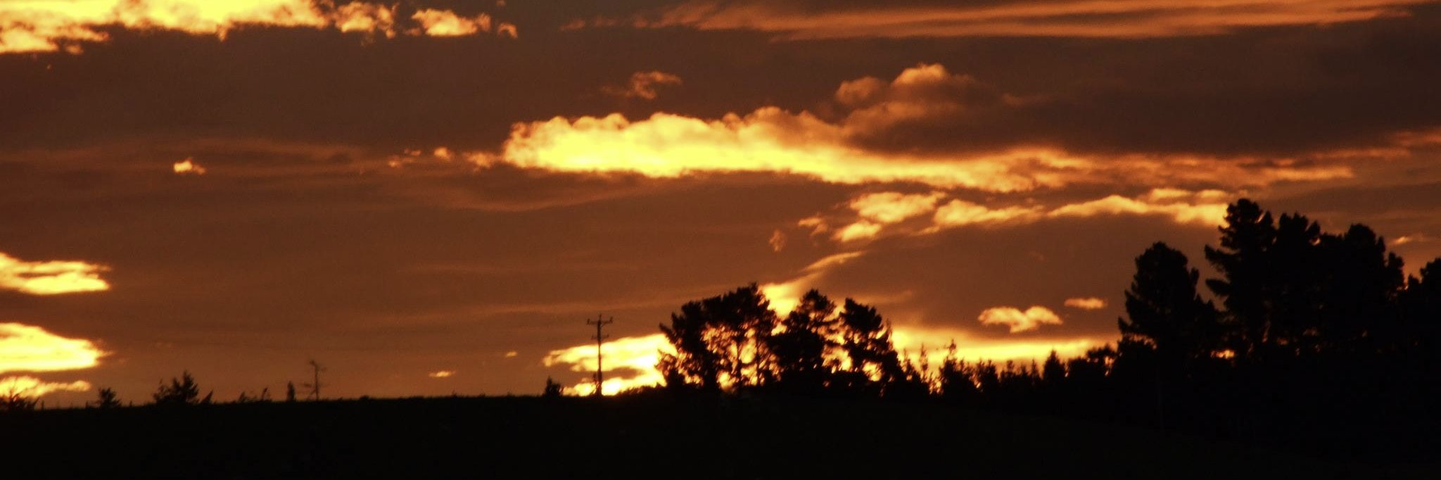 Blair (probably not dead) banner