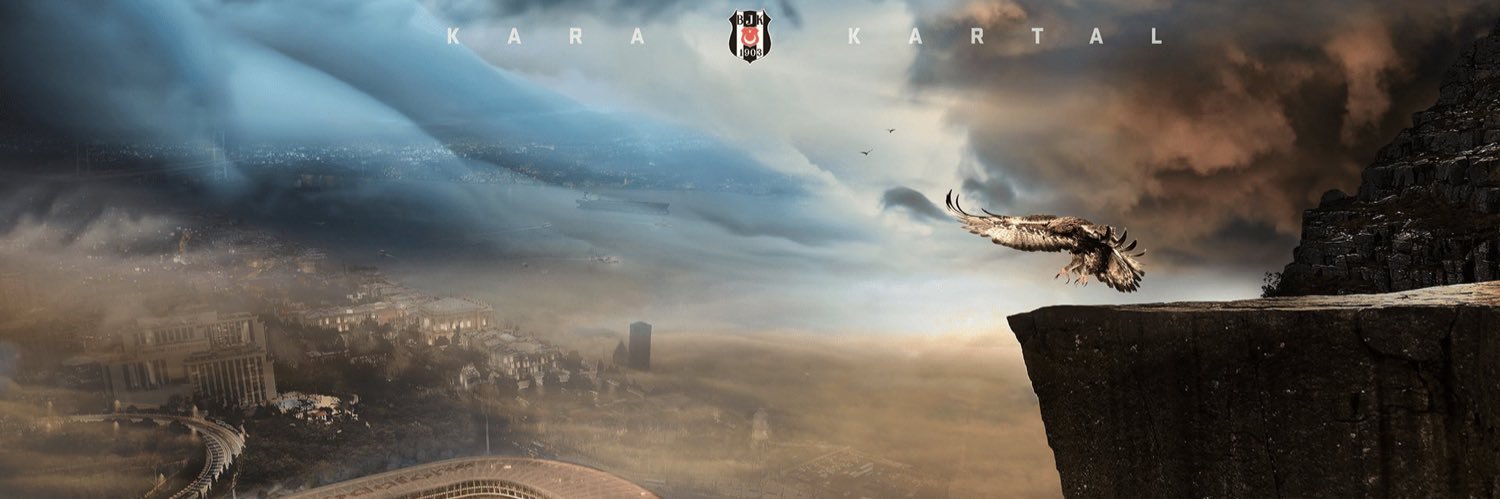savasgoll's profile banner image