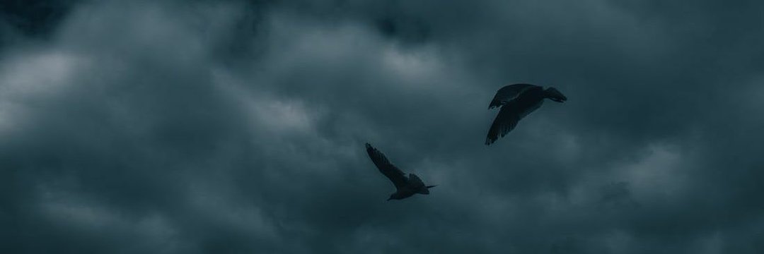 KhalyJay's profile banner image