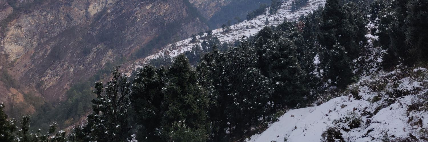 Pooja Wandile banner