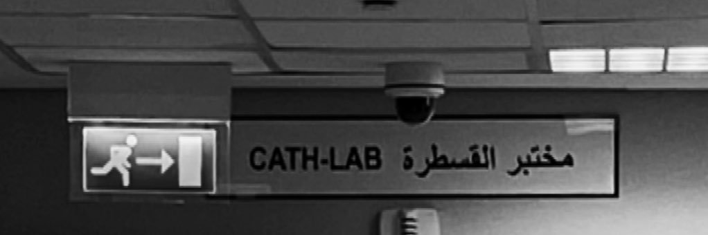 𝓡𝓮𝓷𝓪𝓭 🌻🎓 banner