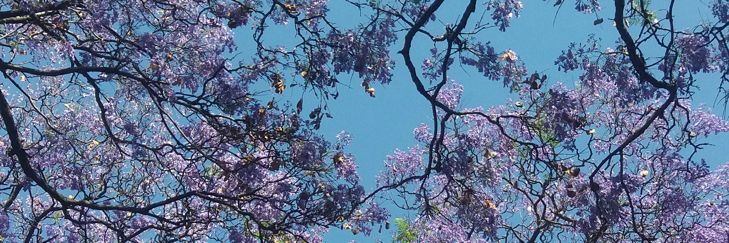 Melanie-Ann Feris banner