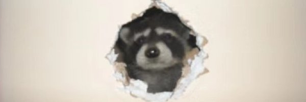 YancyPenguin Profile Banner