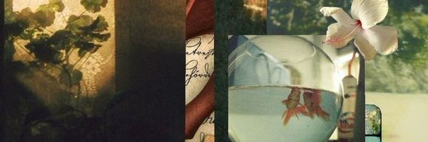 nphtsnn Profile Banner