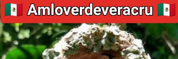 4Teibor Profile Banner