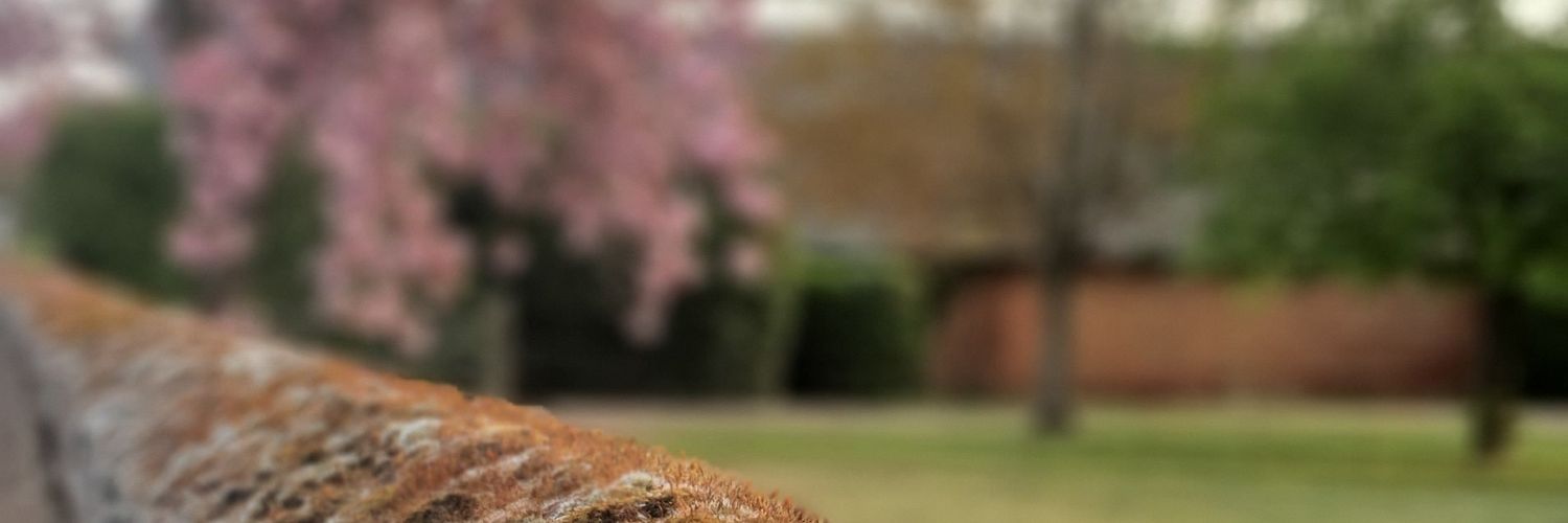 evsky's profile banner image