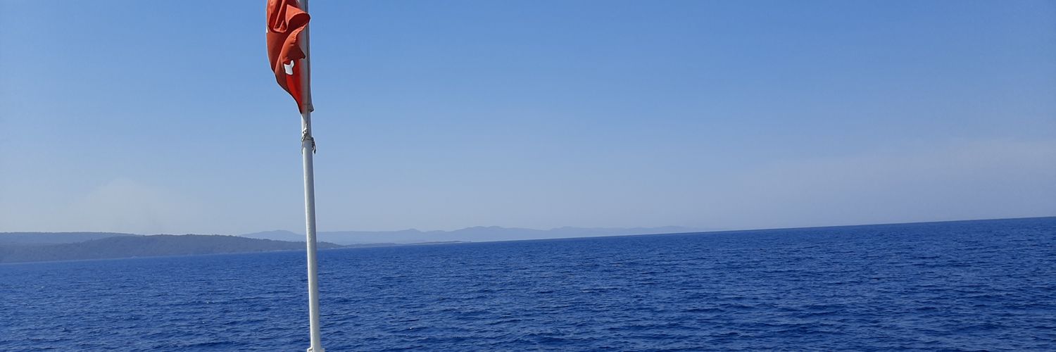 qecesesi's profile banner image