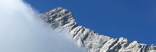 petra_ne Profile Banner