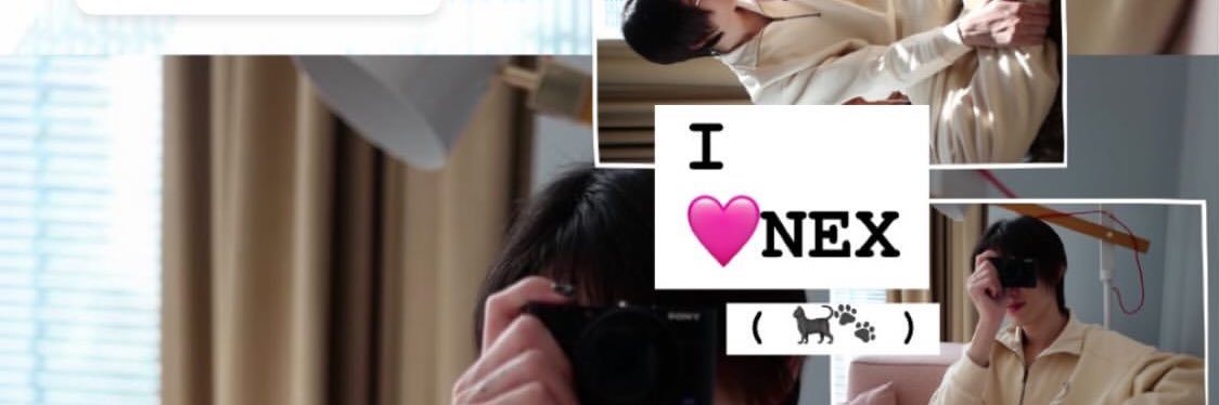 peinekojang's profile banner image