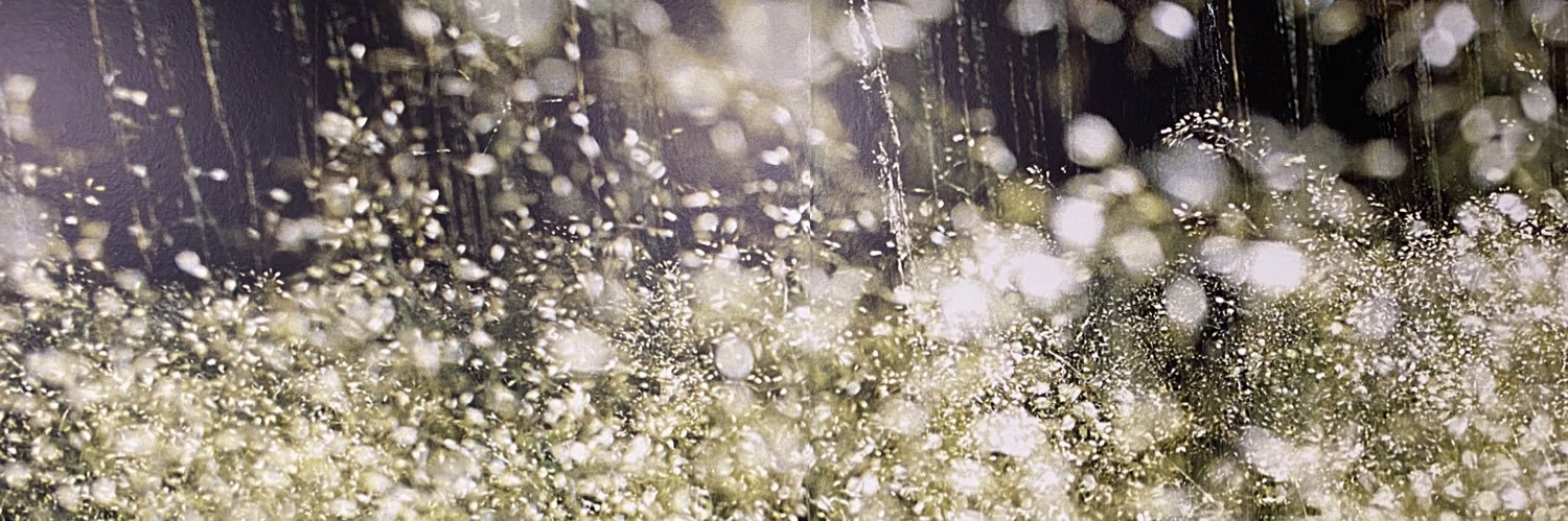 RoelofTuin's profile banner image