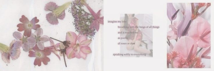 emilie. banner