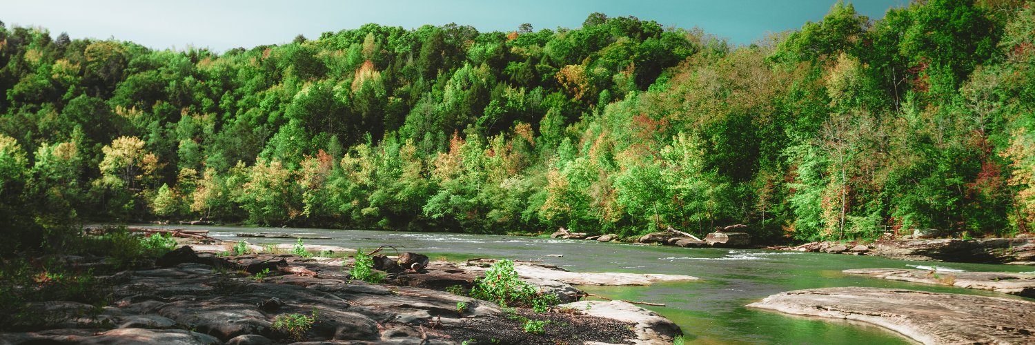 Tris 📸 🏈 🎸🏎️ banner