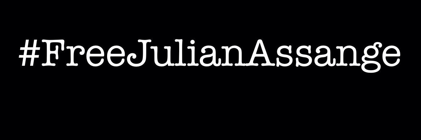 Patavo 26 🐢 banner