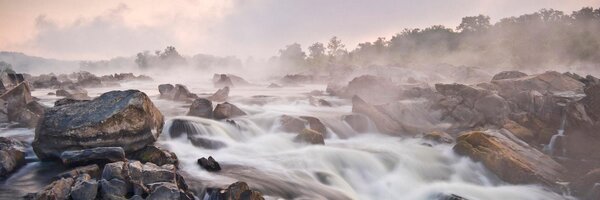 DrElizabethGray Profile Banner