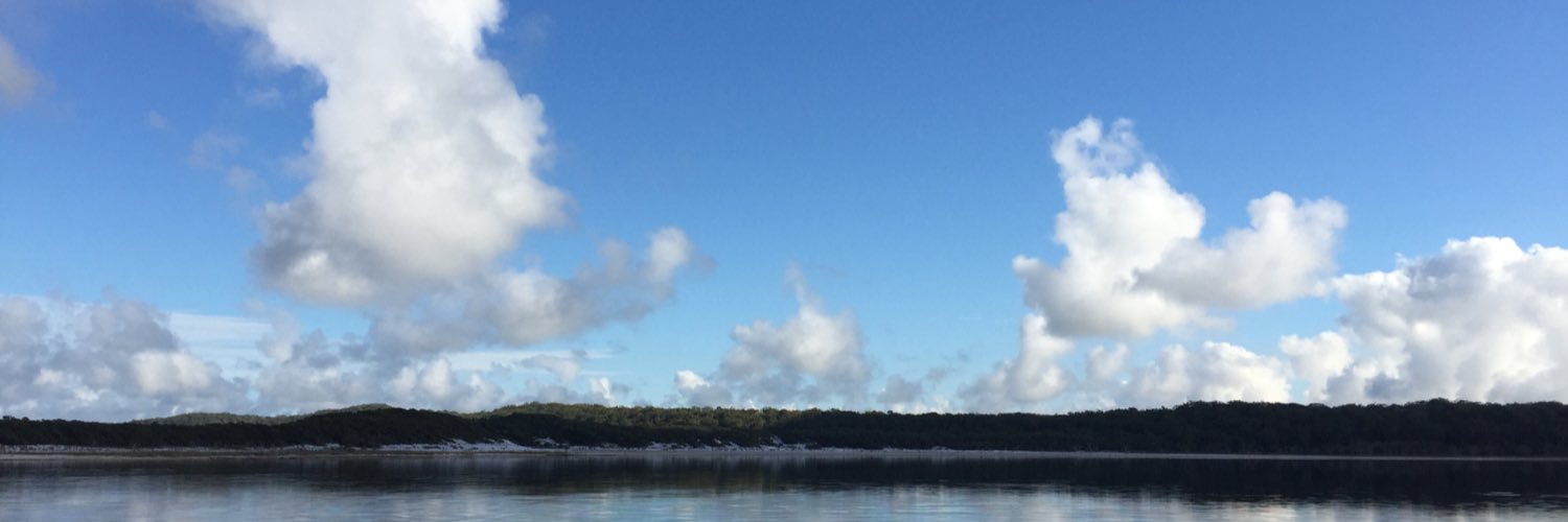 Dr Toni E Meath GAICD banner